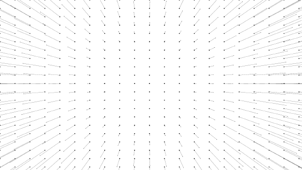 An image of a lens distortion vector field